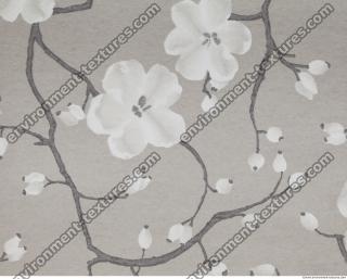 Photo Texture of Wallpaper 0180